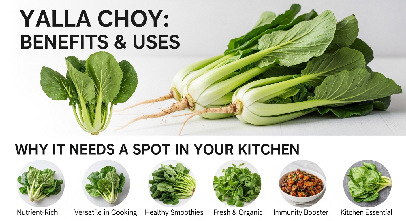 yalla choy